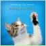Sleepy Cat Music