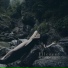 Ellereve