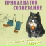 13-е Созвездие