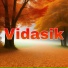 Vidasik