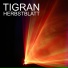 TiM light trance 17