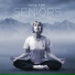 Healing Yoga Meditation Music Consort