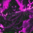 mishix), VXRNXR