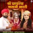 Shyam Paliwal