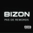 Bizon