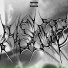 $ardino, Jhxser, kill baby