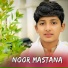 Noor Mastana