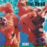 Fini Scad