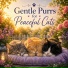 Dreaming Cat