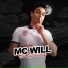 Mc Will