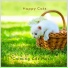Calming Cat Music