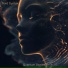 Void Syntax