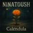 Ninatoush