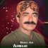 Babul Jan