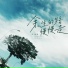 王佳音