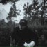 gleb korolev