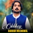 Bakhan Meenawal