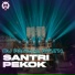 DJ PAULKA RVLTN