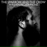 William Fitzsimmons & Priscilla Ahn
