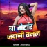 Amar Kumar