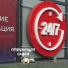 альберт мертвый