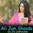 Ali Jan Shaida