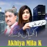 Sagir Ahmad Sanwal
