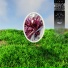 ecli