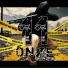 THREE P