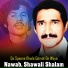 Nawab, Shawali Shalam