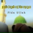 Fida Ullah