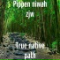 Pippen niwah zjw
