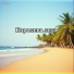 VitSem