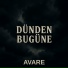 Avare