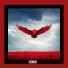 Ravenman