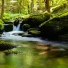 ASMR Rivers and Streams