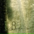 Letter 8