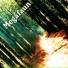 Megafaun