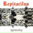 Repitacilus