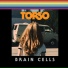 TORSO