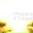 Pfoxparis