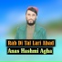 Anas Hashmi Agha