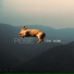 Pigsie