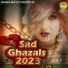 Arshad Kamli