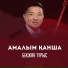 Shamshi Kaldayakov