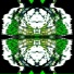 ARDICINE
