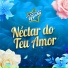 Ciranda do Binha, Ericson Mendonça