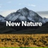 Relaxing Music Therapy