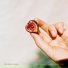 The Ediacaran, Bastido, Lia J