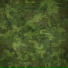 Girraf